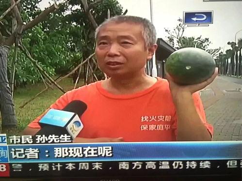 吃瓜热门事件大妈,揭秘热门事件背后的真相与争议