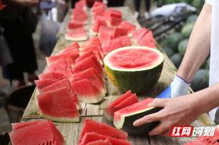 吃瓜划拳,趣味盎然的社交游戏体验