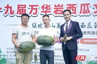 吃瓜划拳,趣味盎然的社交游戏体验