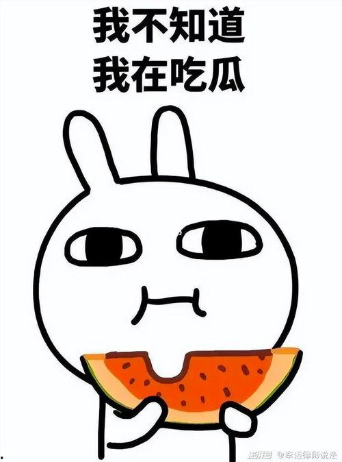 瓜瓜吃瓜手机,揭秘网络舆论场中的“吃瓜群众”新神器