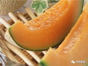 吃瓜西瓜还是哈密瓜,西瓜、哈密瓜，谁才是夏日消暑佳选？