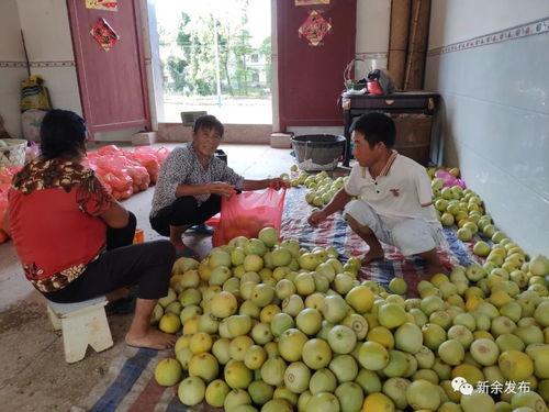 吃瓜接龙,吃瓜群众眼中的娱乐圈风云变幻