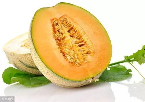 吃哈密瓜的地方,探寻瓜乡风情之旅