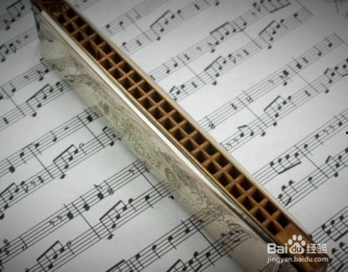 吃瓜像吹口琴,吹口琴般的趣味食趣