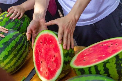 京都精华大学吃瓜