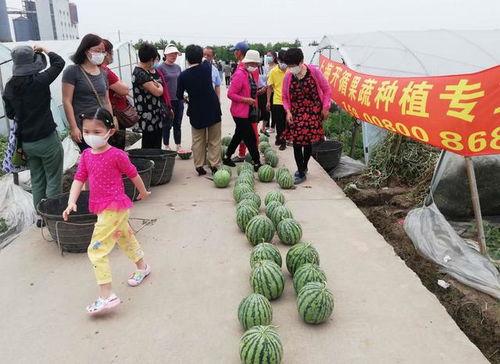 临沭吃瓜群众,揭秘当地生活百态