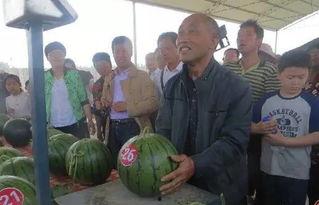 临沭吃瓜群众,揭秘当地生活百态