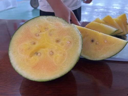 新商城吃瓜,揭秘网红美食背后的秘密