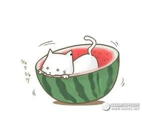 吃瓜摸鱼破防别来,破防瞬间，别来打扰