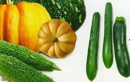 带满朝文武吃瓜,共赏瓜田盛宴