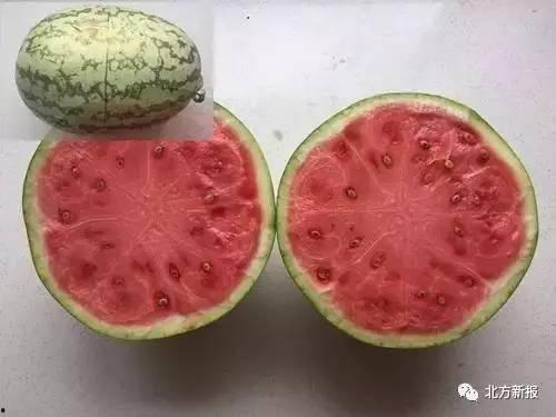 爱心瓜怎么吃最好吃,解锁美味新境界