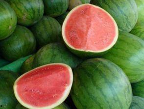 晚饭后吃瓜视频